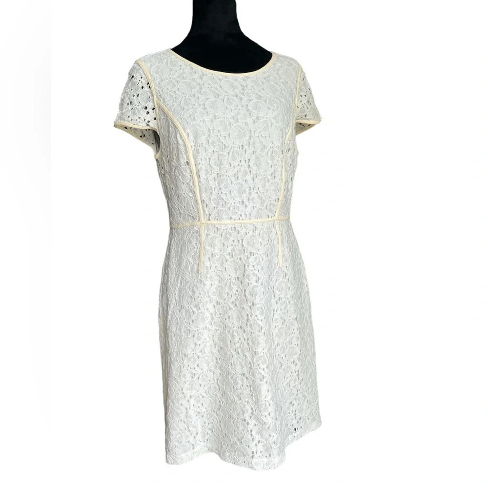 The Limited White Lace Short Sleeve Dress for Women Size 8